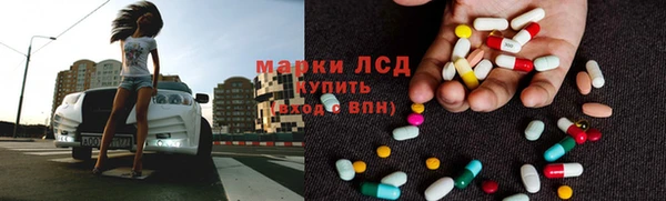 крисы Баксан