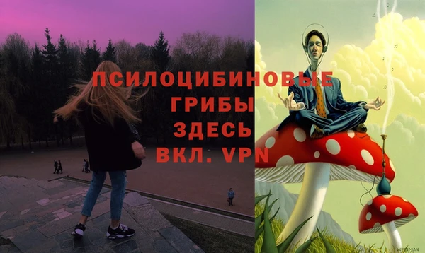 мдпв Арсеньев
